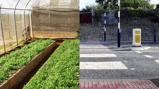 Ted Talks: Pam Warhurst: How We Can Eat Our Landscapes Ted Talks: Pam Warhurst: How We Can Eat Our Landscapes