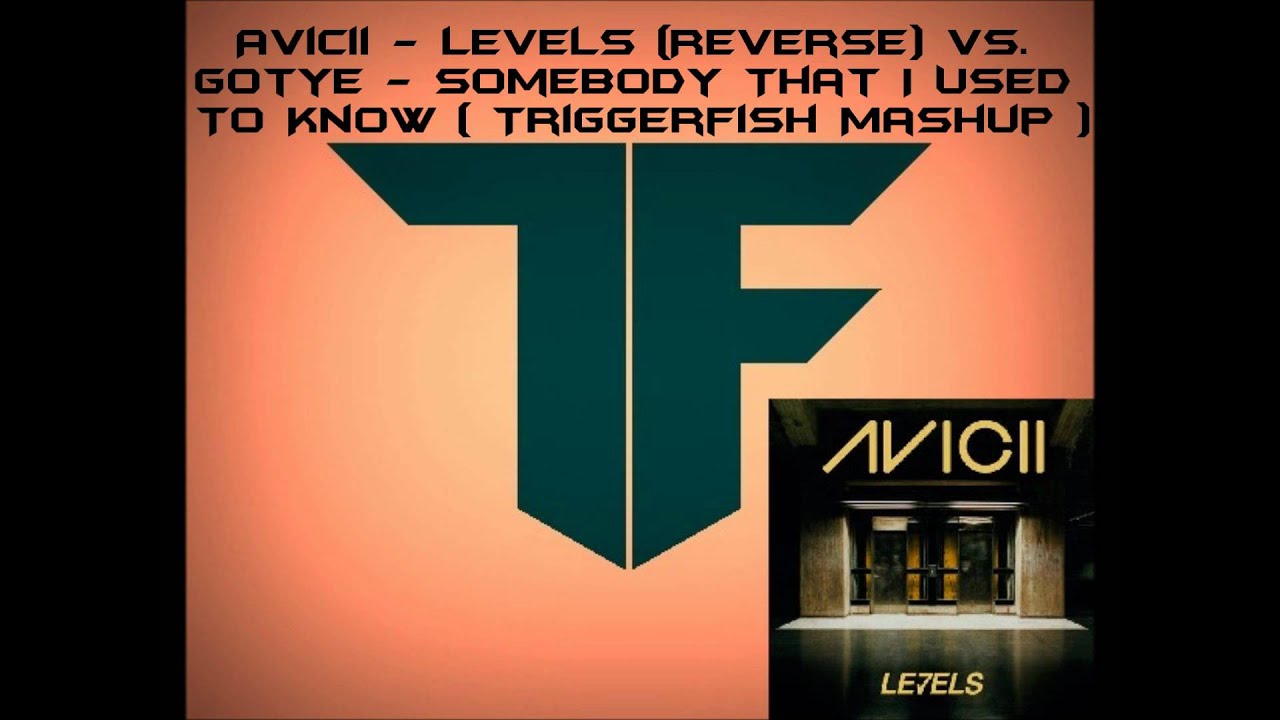 Avicii - Levels (Reverse) VS. Gotye - Somebody That I Used To Know ...