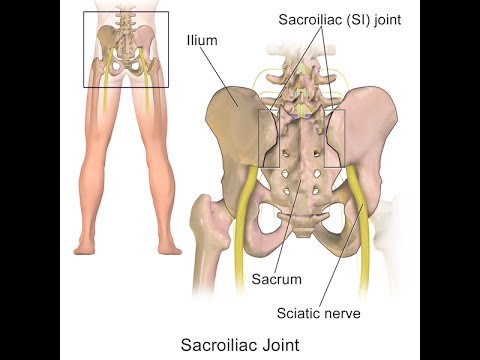 Sacroiliac Joint Pain Explained By Top Pain Doctor In Las Vegas Nevada