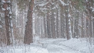 скачать песню рок острова-встреча