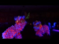 Khai Quang Đoàn Nghệ Thuật Lân Sư Rồng Nhơn Nghĩa Đường 2013 - Part 4