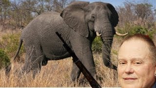 Go Daddy Elephant Killer CEO Under Fire Go Daddy Elephant Killer CEO Under Fire