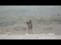 Lake Michigan ... polar vortex ice balls