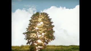 All Is Not Lost