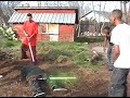 gang fight! knocked out!