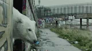A Homeless Polar Bear in London: Ft. Jude Law and Radiohead A Homeless Polar Bear in London: Ft. Jude Law and Radiohead