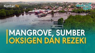 Mangrove, Sumber Oksigen dan Rezeki