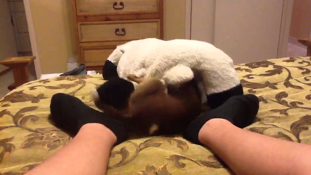 Humping a pillow (or a stuffed animal)