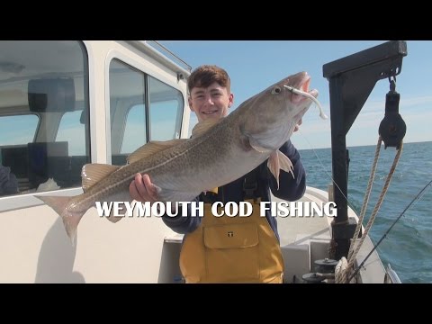 Peace & Plenty Weymouth charter boat lure testing wreck fishing for Cod