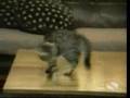 miniature
