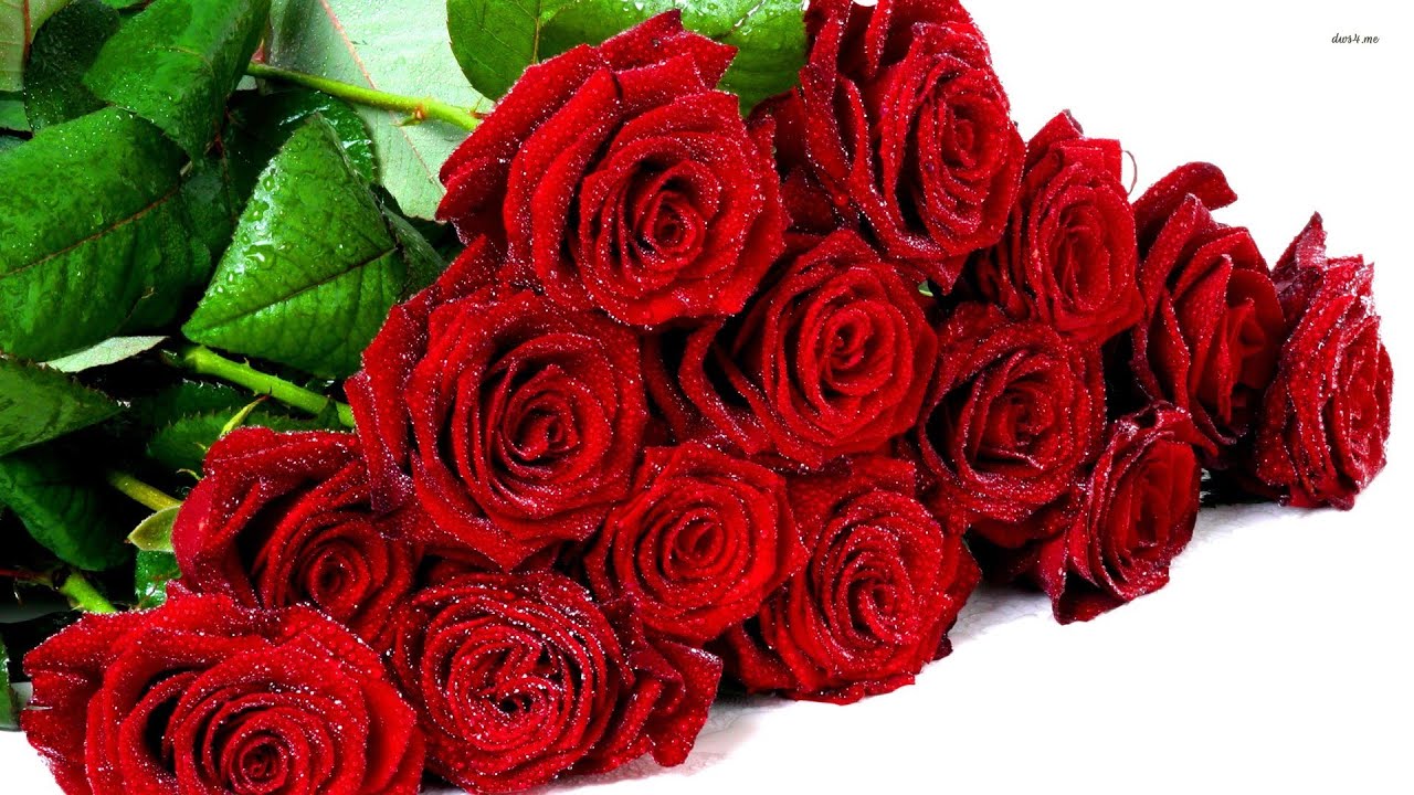 Поздравление 9 роз для тебя 97