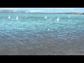 Koonawarra 1