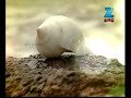 Olimayamana Ethirkaalam - Episode 1376 - April 24, 2014