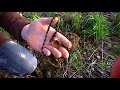 METAL DETECTOR BIONIC 01.MOD