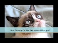 Grumpy Cat for President
