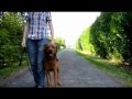 Patte à Patte - Education Canine dans la Vienne