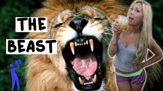 How to make the beast - Tipsy Bartender