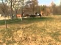 Vega_Vyria_04.2010