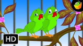 Koondu Killi - Chellame Chellam - Cartoon/Animated Tamil Rhymes For Kutty Chutties