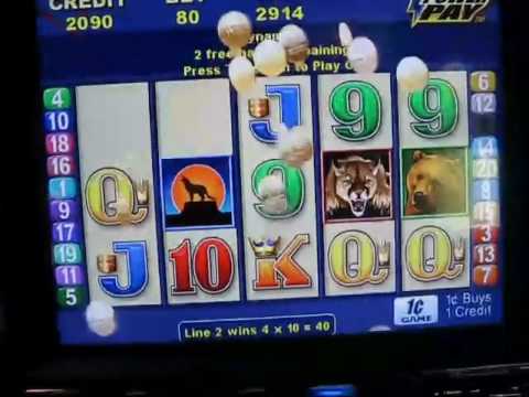 Wild cougar slot