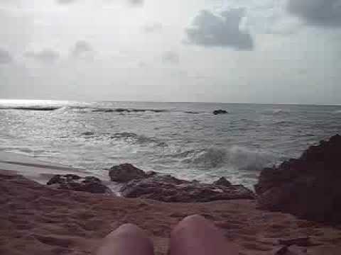 Ziggy Marley ~ Beach in Hawaii {& Me} ( ; - YouTube