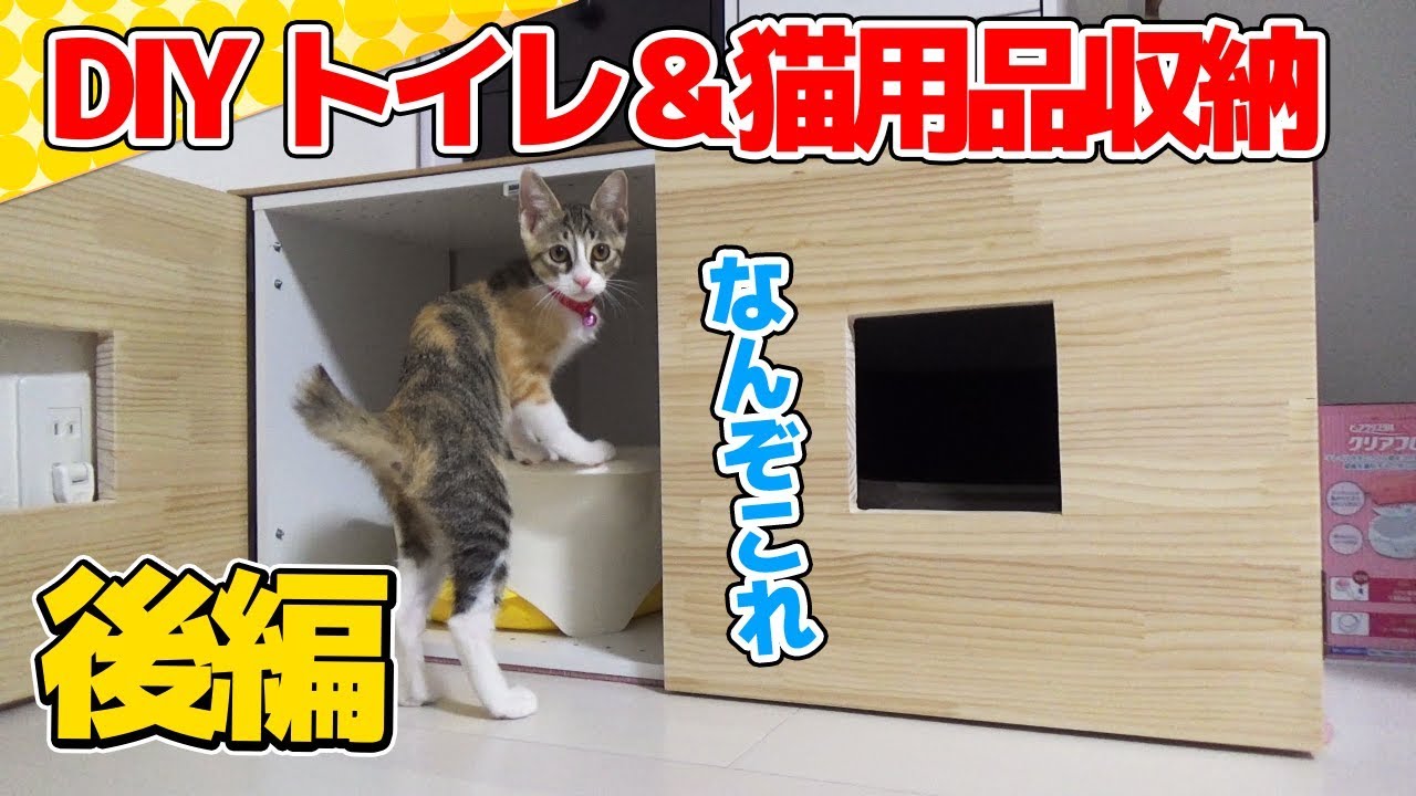 猫用のトイレの作り方