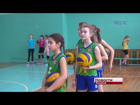 Достойно дебютировали на Первенстве России волейболистки Искитима