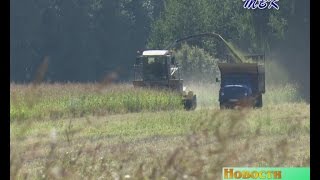 Сводка с полей Искитимского района на 22 августа