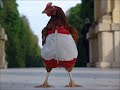 ديسكو الديك والجاجه من موقع ماما زينة