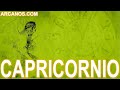 Video Horscopo Semanal CAPRICORNIO  del 11 al 17 Diciembre 2022 (Semana 2022-51) (Lectura del Tarot)