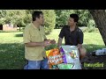 Organic lawn care tips: How to grow a green lawn organically