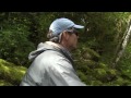 Scandi Short VersiTip Fly Line - Scandinavian Spey Lines