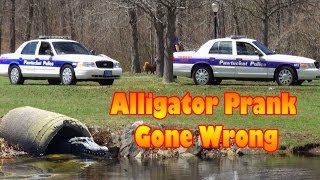 Alligator Prank Gone Wrong