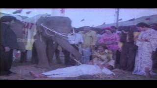 Circus Ramudu Movie 1980  NTR  Rao Gopal Rao Comedy Scene