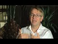 Développement Personnel | Bruno Lallement
