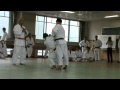 NAGE NO KATA