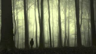 Koven - Quiet Life