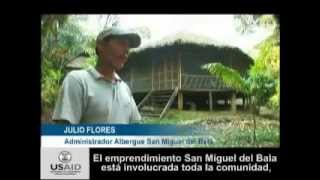 Promoviendo el manejo sostenible del Bosque