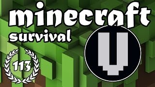 Minecraft Survival - Aflevering 113 "Oldskool VakoGames!"