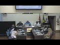 Sessão realizada dia 29/01/2019