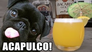 Acapulco - O Drink Bom Pra Cachorro!