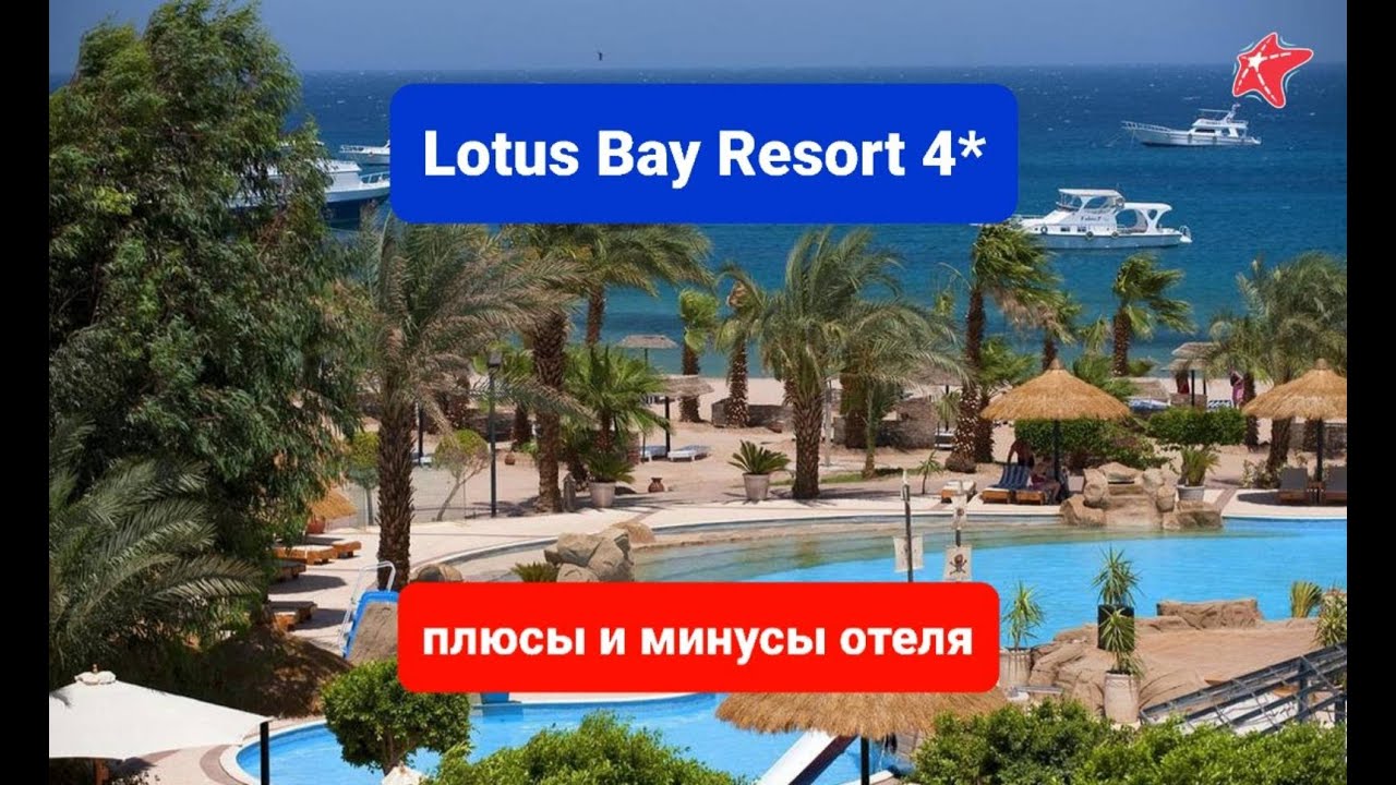 Lotus Bay 4 Египет территория