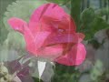 Relaxation Piano Music II - Grieg, Beethoven, Chopin & Others
