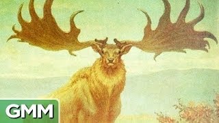 7 Extinct Animals We Wish Were Brought Back to Life