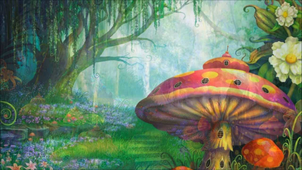 The Enchanted Forest - YouTube