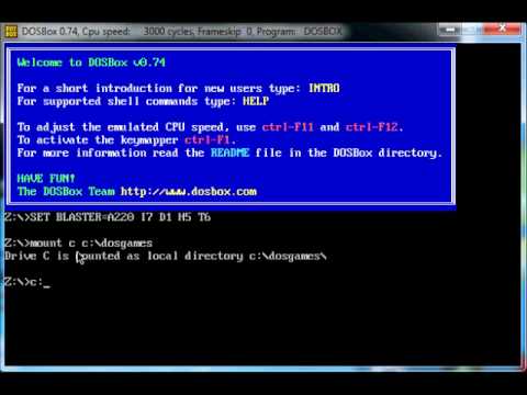 SimAnt DosBox 0.74 Windows 7 - YouTube