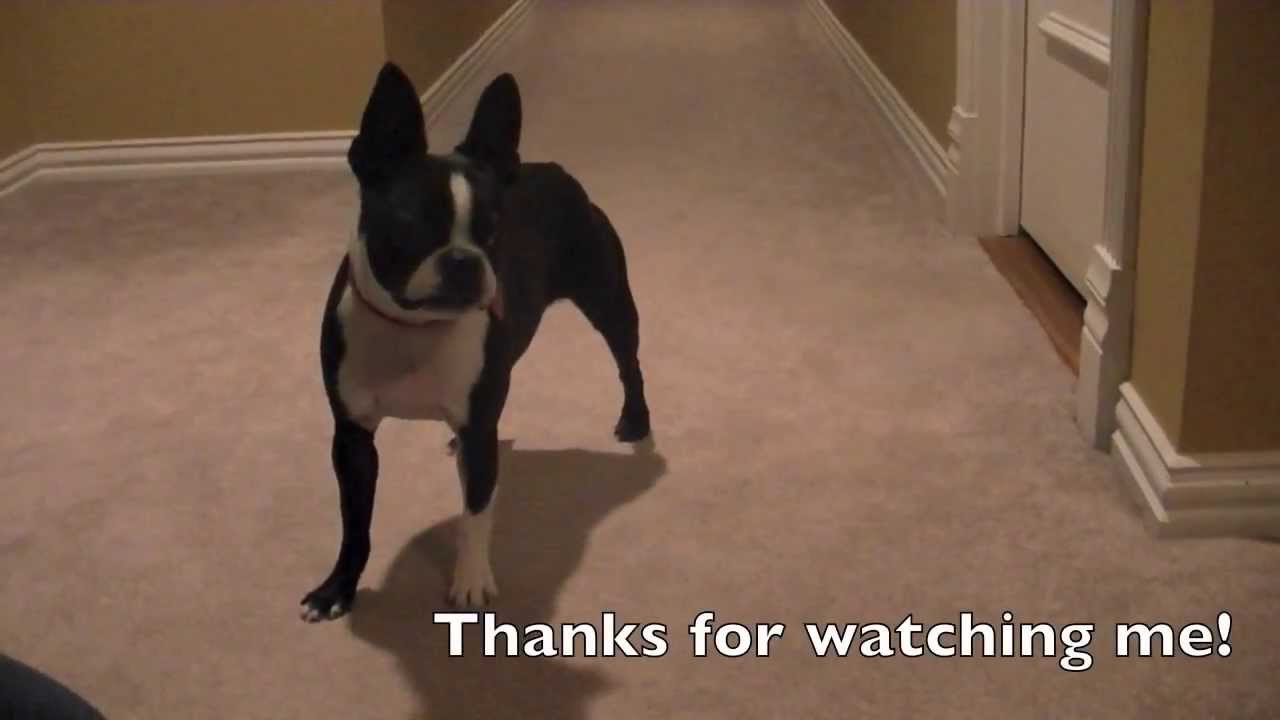 youtube.com youtube.com