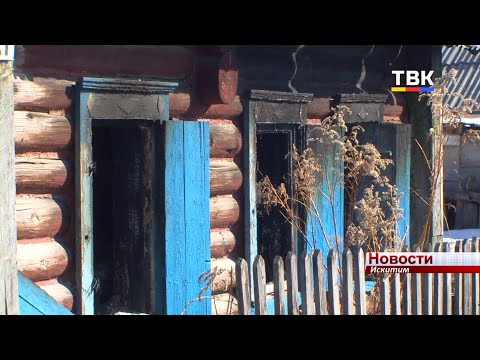 В Искитиме выясняют причины пожара, при котором погибли три человека
