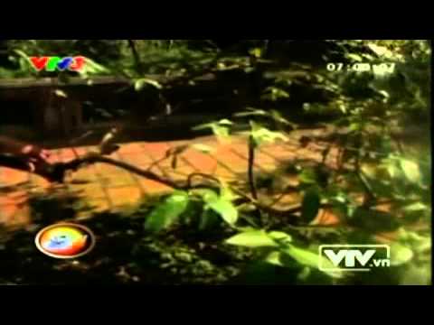 Hình ảnh trong video cầm cành cây vụt trượt bay vào mặt