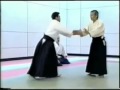 Tamura Nubuyoshi sensei embu with explanations